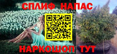 apvp Коммунар