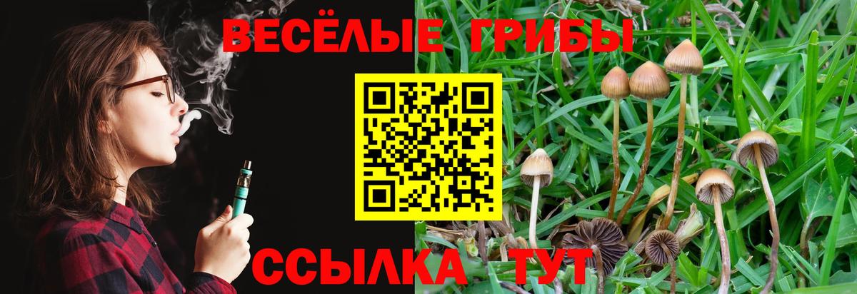 Якутск  Галлюциногенные грибы мухоморы  Псилоцибиновые грибы Psilocybe  Вход с VPN 